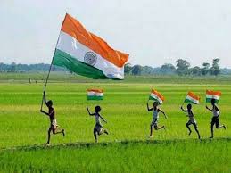 Tiranga Supply